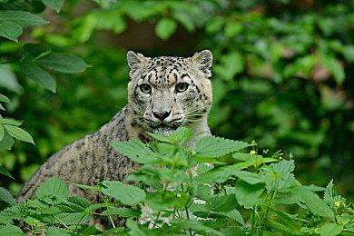 《心灵杀手2》的Game Over动画有点吓人