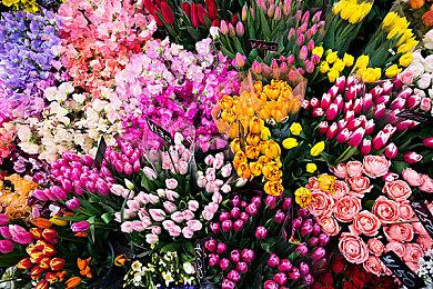 《女神异闻录５战略版》第二支正式PV 11月17日发售